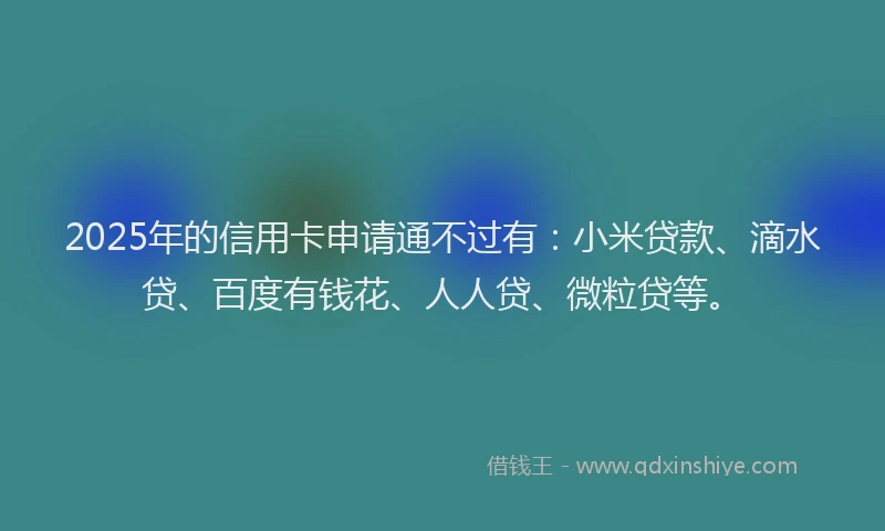 2025年的信用卡申请通不过有：小米贷款、滴水贷、百度有钱花、人人贷、微粒贷等。