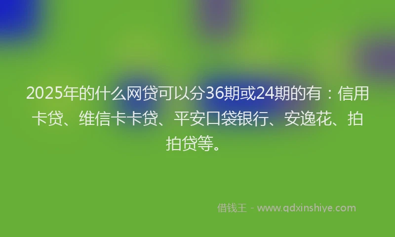 2025年的什么网贷可以分36期或24期的有：信用卡贷、维信卡卡贷、平安口袋银行、安逸花、拍拍贷等。