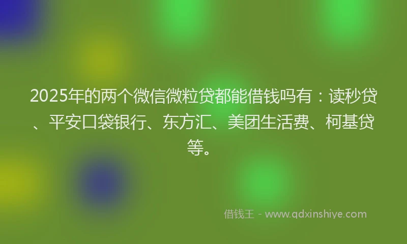 2025年的两个微信微粒贷都能借钱吗有：读秒贷、平安口袋银行、东方汇、美团生活费、柯基贷等。