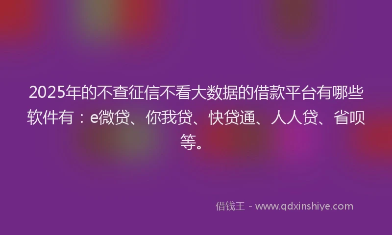 2025年的不查征信不看大数据的借款平台有哪些软件有：e微贷、你我贷、快贷通、人人贷、省呗等。