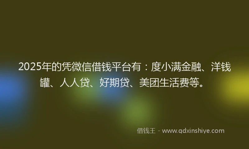 2025年的凭微信借钱平台有：度小满金融、洋钱罐、人人贷、好期贷、美团生活费等。