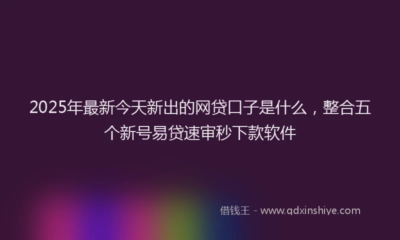2025年最新今天新出的网贷口子是什么，整合五个新号易贷速审秒下款软件