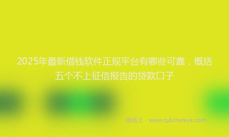 2025年最新借钱软件正规平台有哪些可靠，概括五个不上征信报告的贷款口子