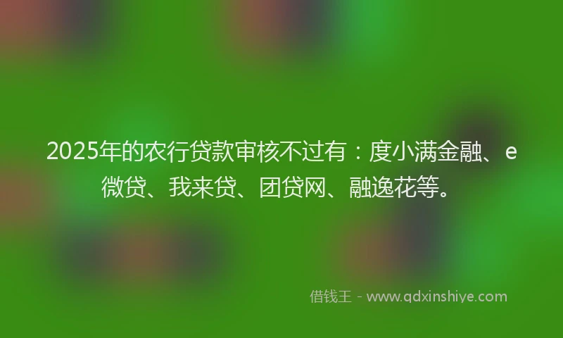 2025年的农行贷款审核不过有：度小满金融、e微贷、我来贷、团贷网、融逸花等。