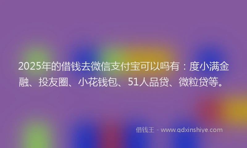 2025年的借钱去微信支付宝可以吗有：度小满金融、投友圈、小花钱包、51人品贷、微粒贷等。