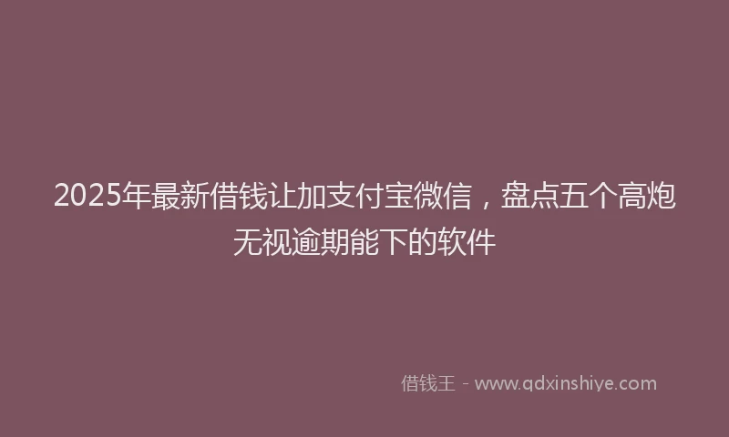 2025年最新借钱让加支付宝微信，盘点五个高炮无视逾期能下的软件