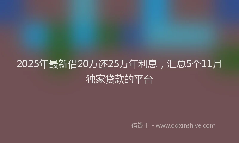 2025年最新借20万还25万年利息，汇总5个11月独家贷款的平台