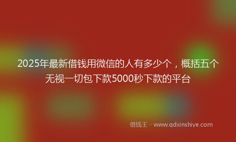 2025年最新借钱用微信的人有多少个，概括五个无视一切包下款5000秒下款的平台