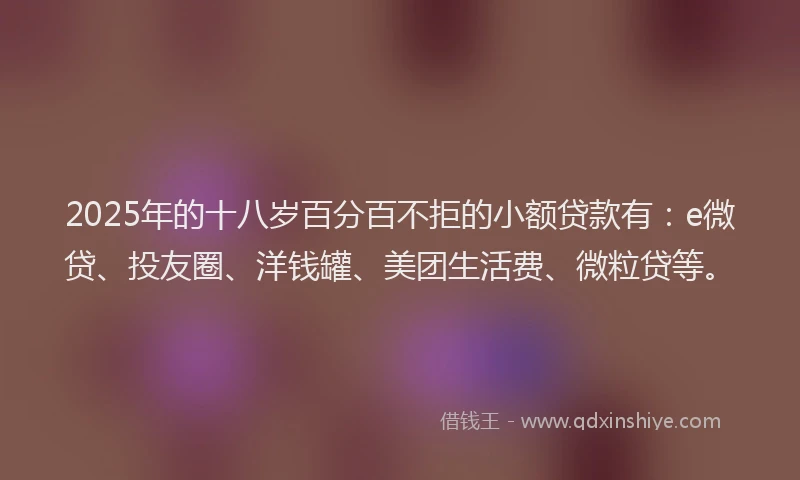 2025年的十八岁百分百不拒的小额贷款有：e微贷、投友圈、洋钱罐、美团生活费、微粒贷等。