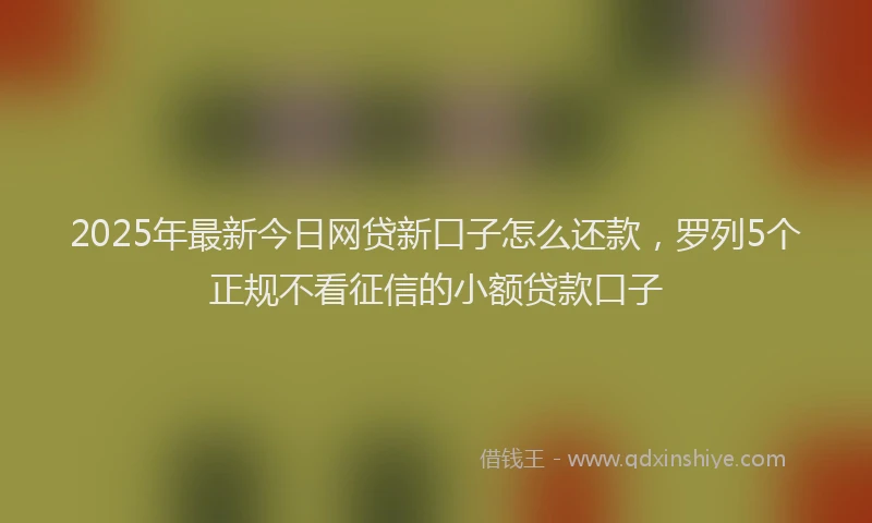 2025年最新今日网贷新口子怎么还款，罗列5个正规不看征信的小额贷款口子