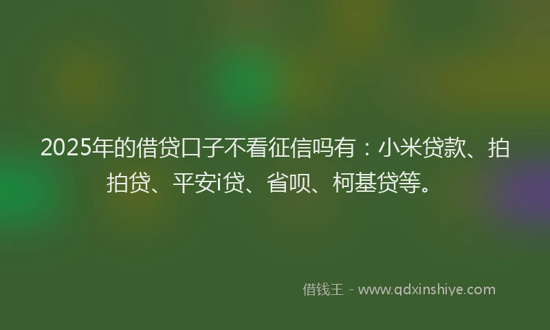2025年的借贷口子不看征信吗有：小米贷款、拍拍贷、平安i贷、省呗、柯基贷等。
