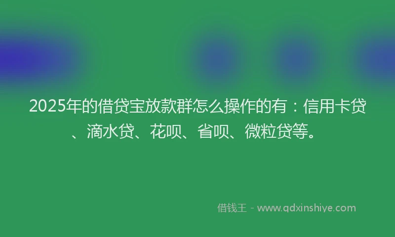 2025年的借贷宝放款群怎么操作的有：信用卡贷、滴水贷、花呗、省呗、微粒贷等。