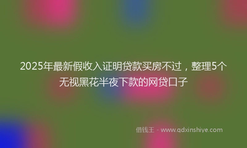 2025年最新假收入证明贷款买房不过，整理5个无视黑花半夜下款的网贷口子