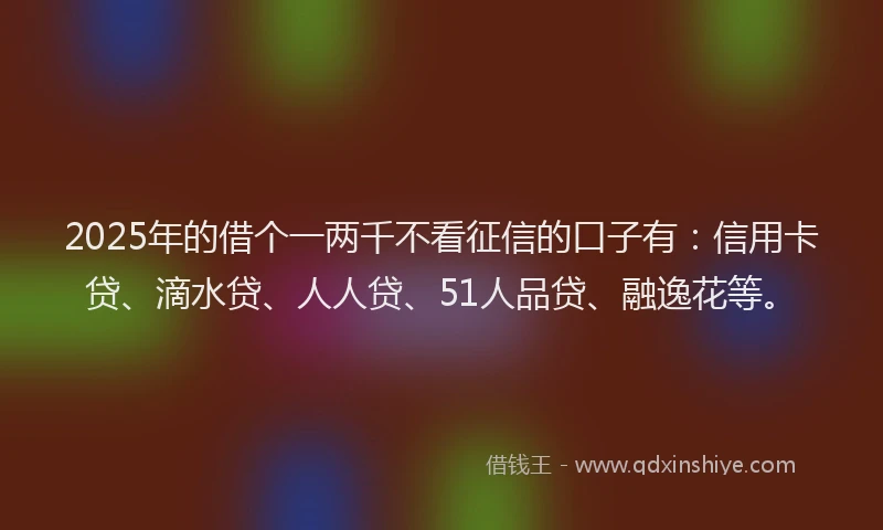 2025年的借个一两千不看征信的口子有：信用卡贷、滴水贷、人人贷、51人品贷、融逸花等。