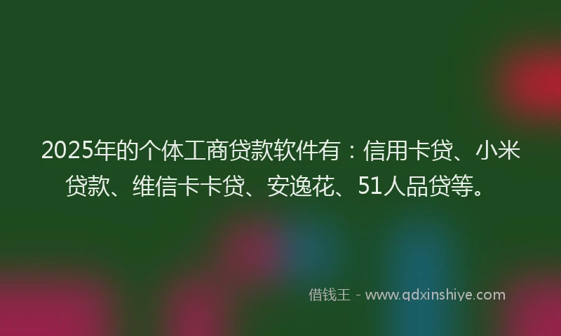 2025年的个体工商贷款软件有：信用卡贷、小米贷款、维信卡卡贷、安逸花、51人品贷等。