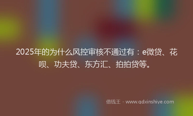 2025年的为什么风控审核不通过有：e微贷、花呗、功夫贷、东方汇、拍拍贷等。