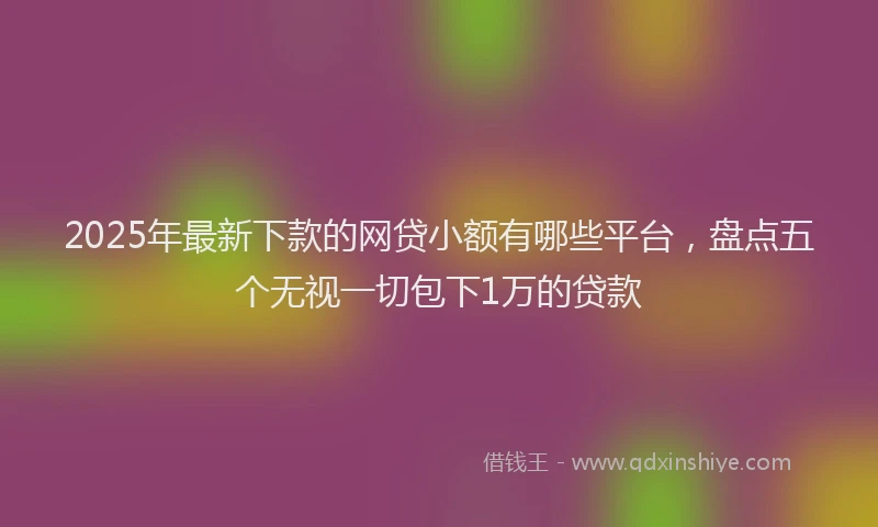 2025年最新下款的网贷小额有哪些平台，盘点五个无视一切包下1万的贷款