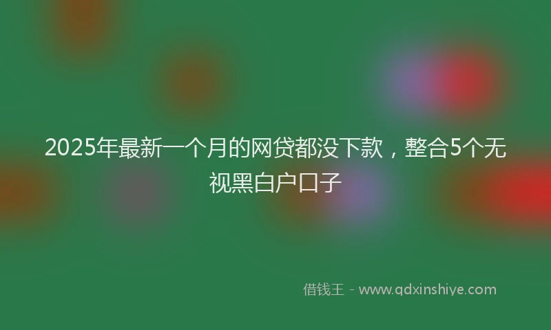 2025年最新一个月的网贷都没下款，整合5个无视黑白户口子