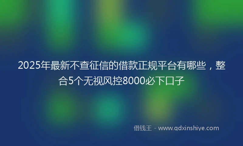 2025年最新不查征信的借款正规平台有哪些，整合5个无视风控8000必下口子