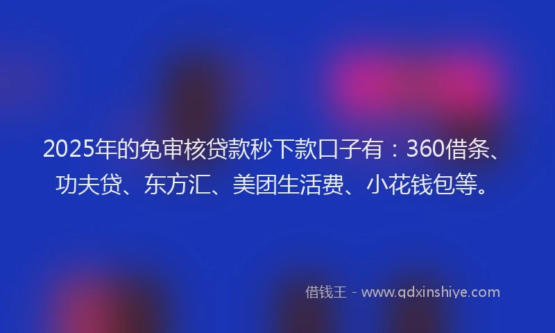 2025年的免审核贷款秒下款口子有：360借条、功夫贷、东方汇、美团生活费、小花钱包等。