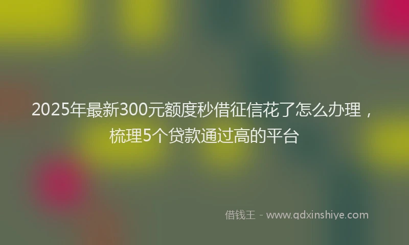 2025年最新300元额度秒借征信花了怎么办理，梳理5个贷款通过高的平台