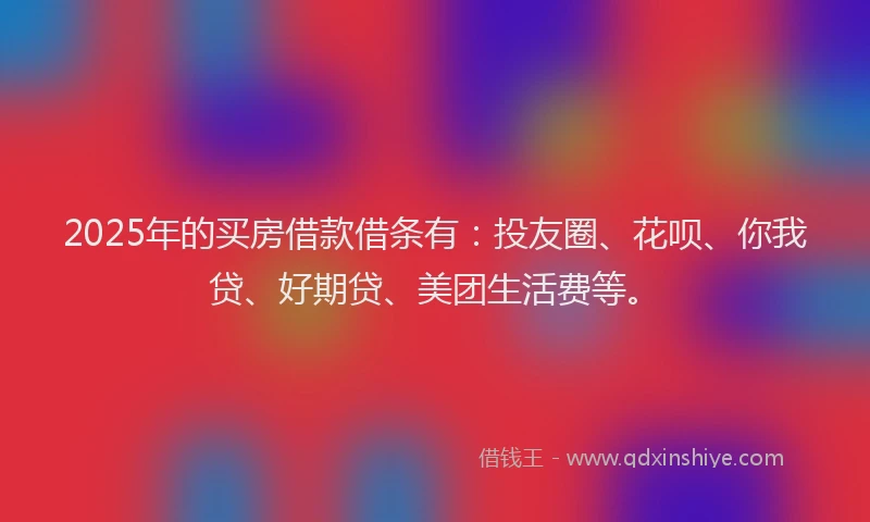 2025年的买房借款借条有：投友圈、花呗、你我贷、好期贷、美团生活费等。