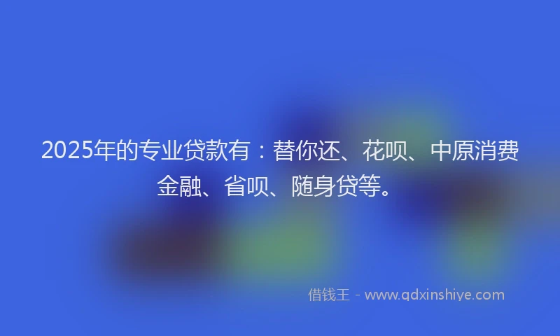 2025年的专业贷款有：替你还、花呗、中原消费金融、省呗、随身贷等。