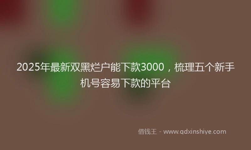 2025年最新双黑烂户能下款3000，梳理五个新手机号容易下款的平台