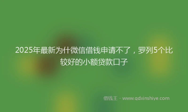 2025年最新为什微信借钱申请不了，罗列5个比较好的小额贷款口子