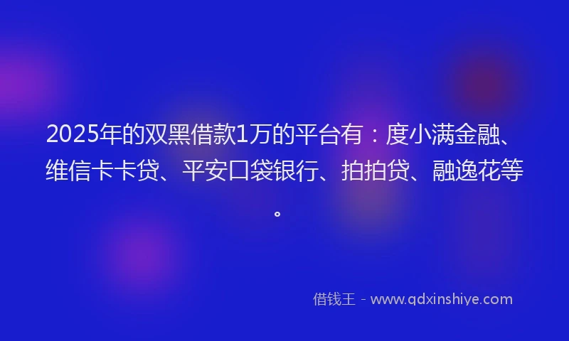 2025年的双黑借款1万的平台有：度小满金融、维信卡卡贷、平安口袋银行、拍拍贷、融逸花等。