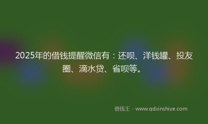 2025年的借钱提醒微信有：还呗、洋钱罐、投友圈、滴水贷、省呗等。