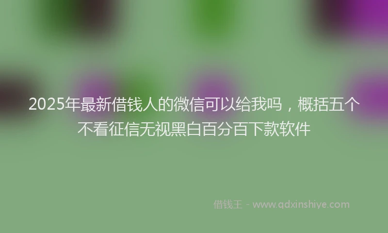 2025年最新借钱人的微信可以给我吗，概括五个不看征信无视黑白百分百下款软件