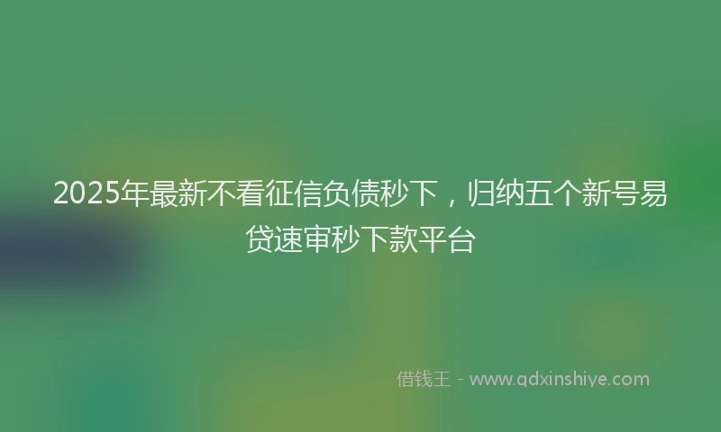 2025年最新不看征信负债秒下，归纳五个新号易贷速审秒下款平台