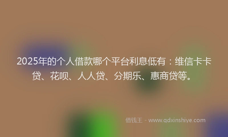 2025年的个人借款哪个平台利息低有：维信卡卡贷、花呗、人人贷、分期乐、惠商贷等。