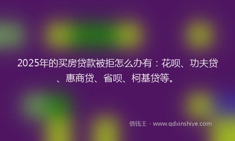 2025年的买房贷款被拒怎么办有：花呗、功夫贷、惠商贷、省呗、柯基贷等。