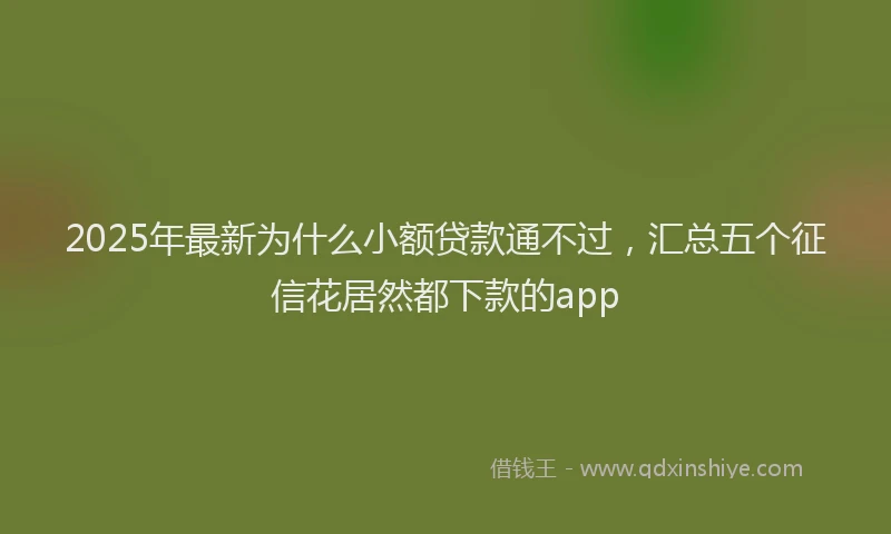 2025年最新为什么小额贷款通不过，汇总五个征信花居然都下款的app