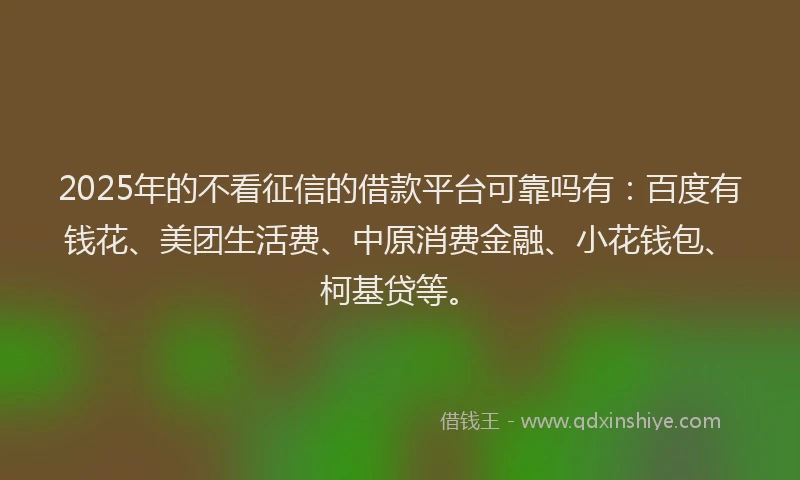 2025年的不看征信的借款平台可靠吗有：百度有钱花、美团生活费、中原消费金融、小花钱包、柯基贷等。
