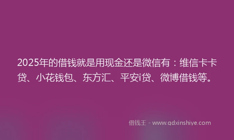 2025年的借钱就是用现金还是微信有：维信卡卡贷、小花钱包、东方汇、平安i贷、微博借钱等。