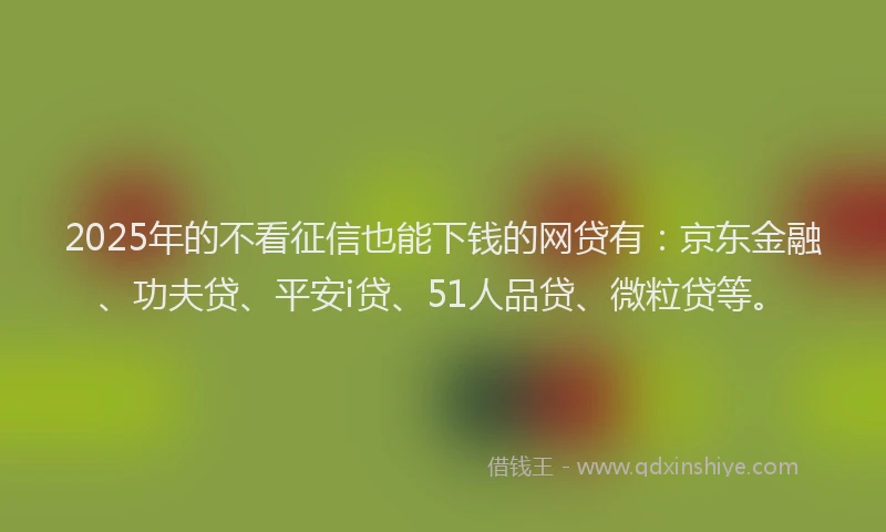 2025年的不看征信也能下钱的网贷有：京东金融、功夫贷、平安i贷、51人品贷、微粒贷等。
