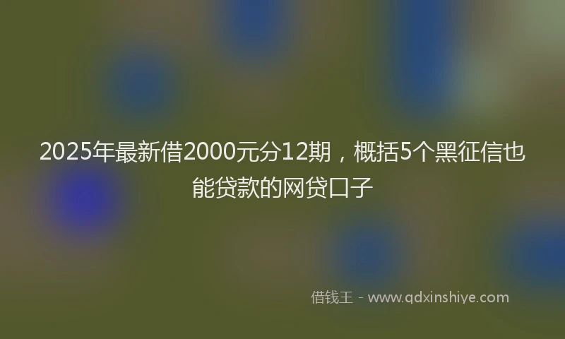 2025年最新借2000元分12期，概括5个黑征信也能贷款的网贷口子