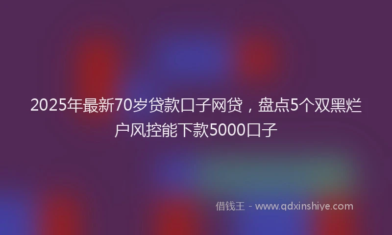 2025年最新70岁贷款口子网贷，盘点5个双黑烂户风控能下款5000口子