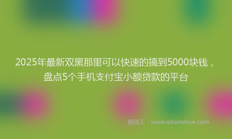 2025年最新双黑那里可以快速的搞到5000块钱，盘点5个手机支付宝小额贷款的平台