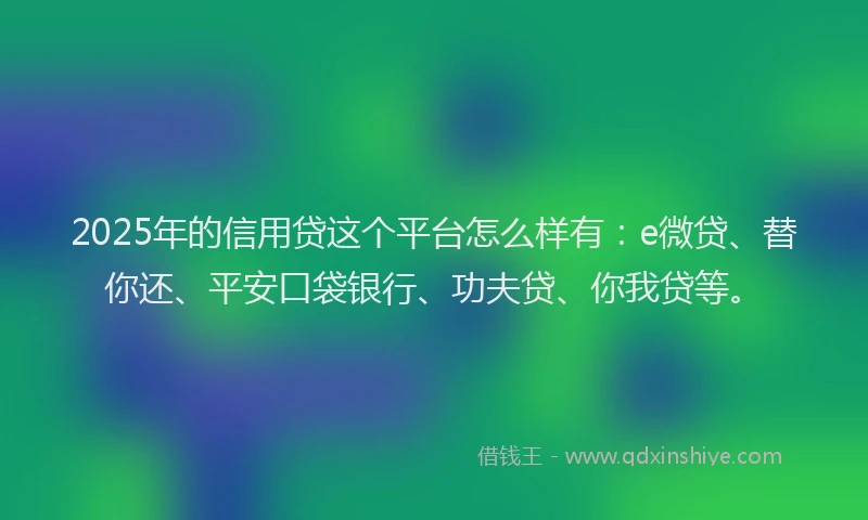 2025年的信用贷这个平台怎么样有：e微贷、替你还、平安口袋银行、功夫贷、你我贷等。