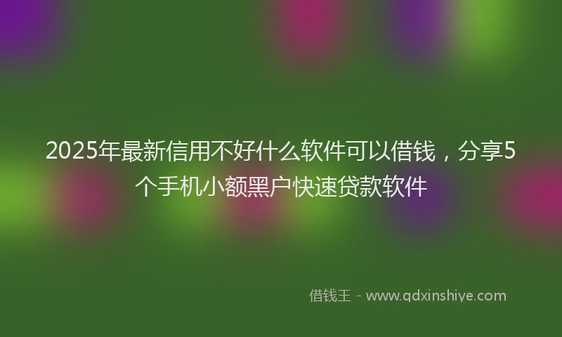 2025年最新信用不好什么软件可以借钱，分享5个手机小额黑户快速贷款软件