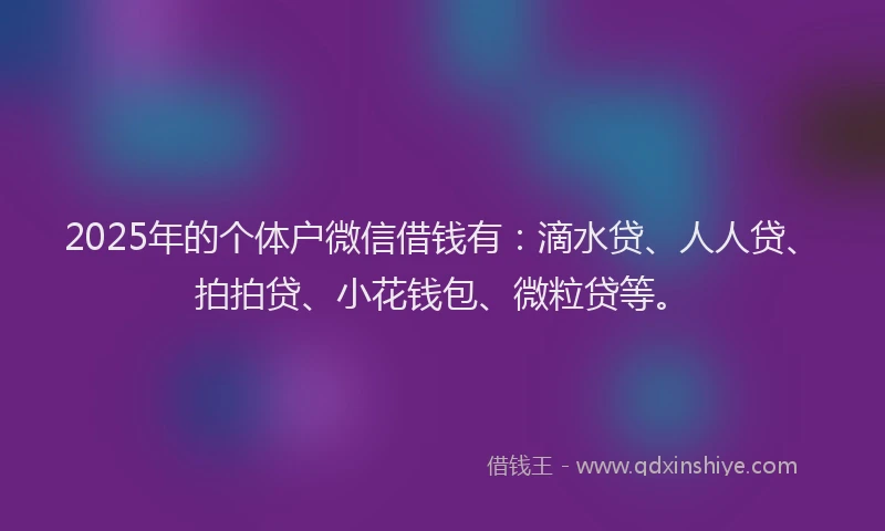 2025年的个体户微信借钱有：滴水贷、人人贷、拍拍贷、小花钱包、微粒贷等。