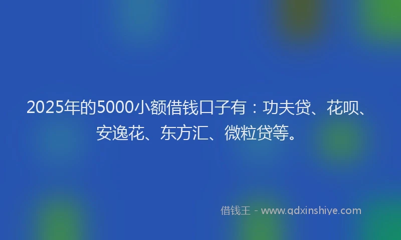 2025年的5000小额借钱口子有：功夫贷、花呗、安逸花、东方汇、微粒贷等。