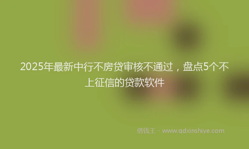 2025年最新中行不房贷审核不通过，盘点5个不上征信的贷款软件