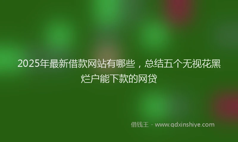 2025年最新借款网站有哪些，总结五个无视花黑烂户能下款的网贷