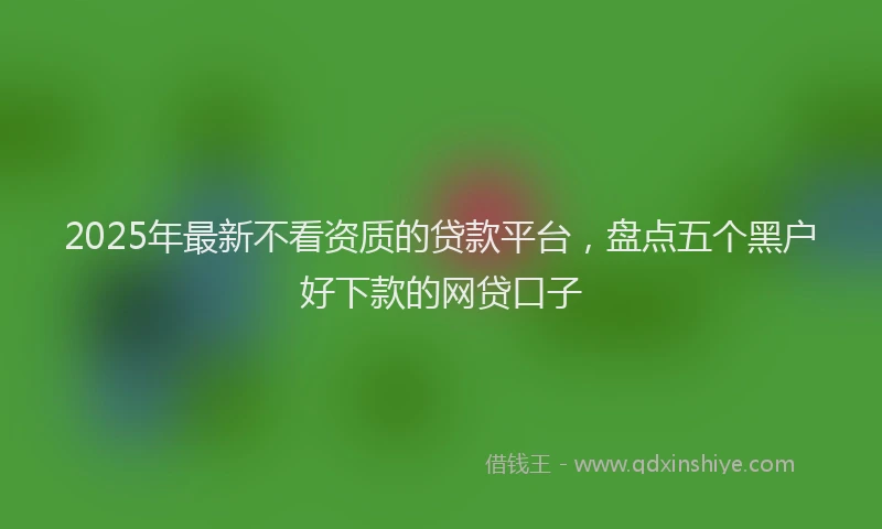 2025年最新不看资质的贷款平台，盘点五个黑户好下款的网贷口子