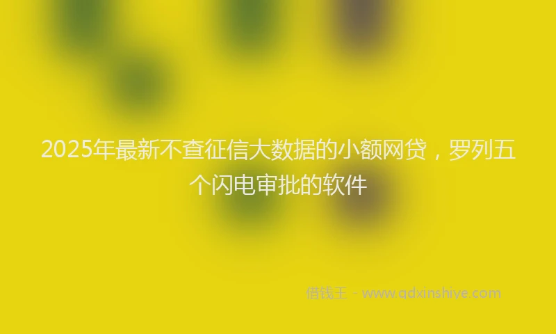 2025年最新不查征信大数据的小额网贷，罗列五个闪电审批的软件
